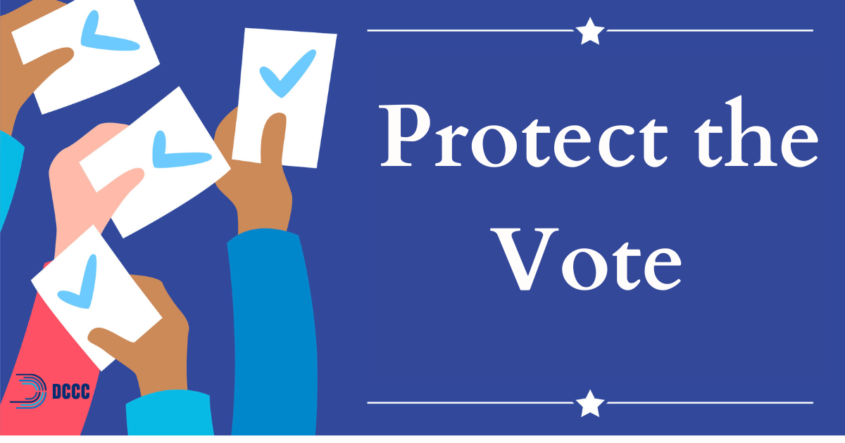 Protect The Vote · Mobilize